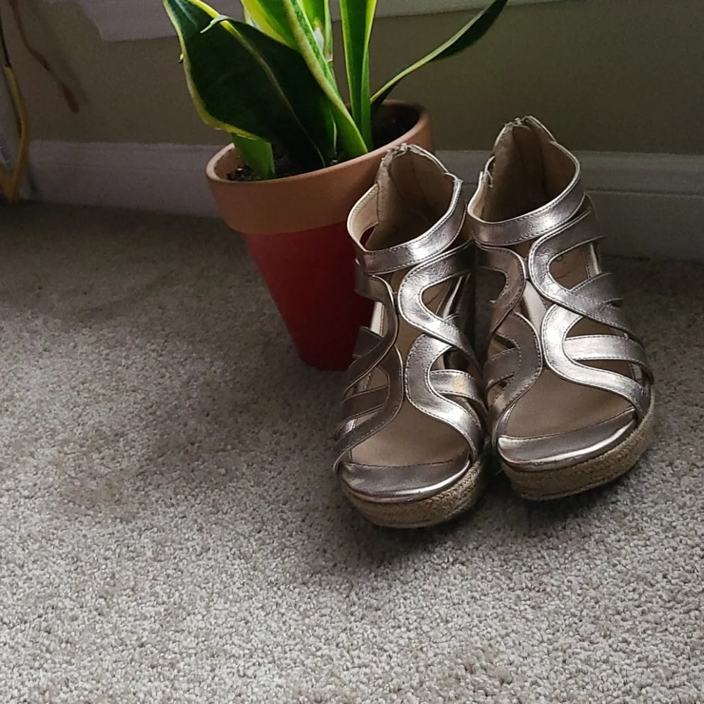 Beach Wedges